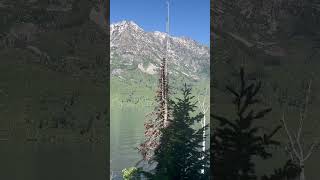 Grand Teton, Yellowstone #GrandTeton #Yellowstone #NationalParks # #relaxing #nature #music #vlog