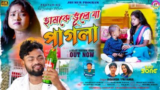 হামকে ভুলে যা পাগলা || Jagdish Priyanka || New Purulia Sad Song 2024 || Feat - RS Sailendra & Nisha