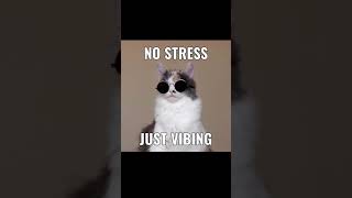 #memes #ytshorts #memesvideo