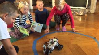 Early testing of Robit - session 1