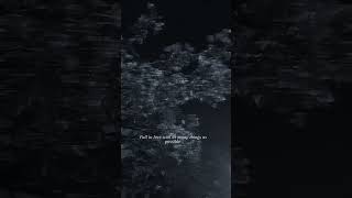 Falling in love with little things  #MoodyVibes #eticReels #clouds #SkAddict#WanderThroughTheClouds