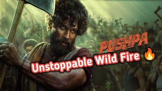 Pushpa 2 Review: Bollywood, Ye Na Tumhe Samjhega