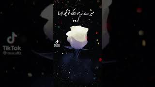 Painful Poetry Status | Sad Urdu Poetry | Sad Urdu Poetry Status | Saim Writes
