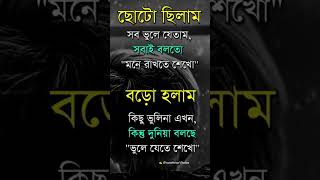 বড় হলাম কিন্তু ভুলিনা #shorts