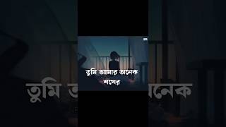 ( তুমি আমার অনেক শখের ) Slowed + Reverb #shortvideo #short #shorts #banglasong