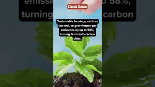 🌍 Climate Change and Agriculture: A Critical Connection 🌍