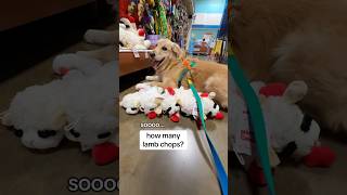 動物保護施設への買い物三昧（費用を負担してくれた @petsmart に感謝！）#animalshelter #donations