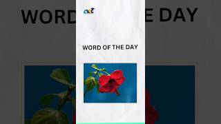 word of the day | IELTS learning | AEC #studyoverseas