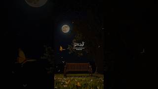 Quran Tilawat  English translation #QuranRecitation #Quran #QuranWithTranslation   #QuranInEnglish