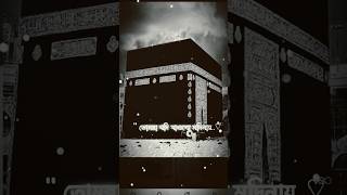 সালাতু সালামগো আমার #islamicvideo #foryou ✅👍👍🤲🤲🤲🤲🤲💖💖🌿🌿