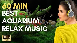 Best Aquarium Relax Music 60 Min