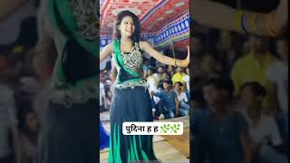 Lela Pudina Lela Pudina - Pudina Ae Hasina Full Song Download 2021