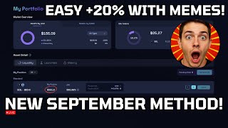 How I Turn Simple Ideas Into Meme Coin Wins