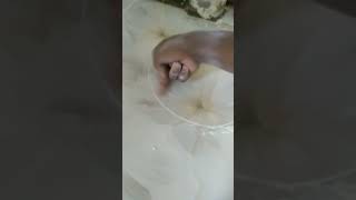 #shohagwaziullah #রঙ্গিলাবাড়ই #youtube