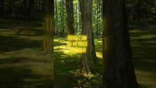 taking you on a tour of the moss forest 🍄 #moss #forestcore #cottagecore #goblincore #nature