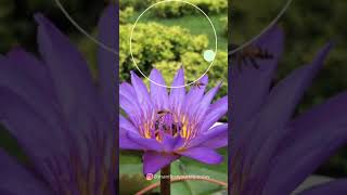 Today, Step Into Your Power | Inhale... Exhale...