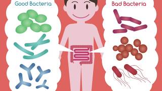 Common Food Poisoning Bacteria part 1