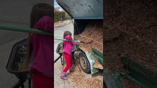 Todays progress on 11 year old Salomé’s No Dig Garden #kidsinthegarden #nodig