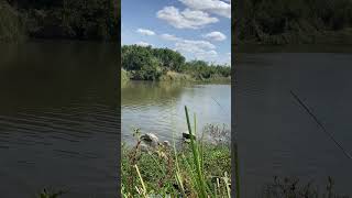 #nature#river#serenity#calmness