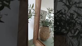 Mirror UPCYCLE - Using Paddle Sticks (Herringbone)#upcycledmirror #diymirror #herringbonedesign