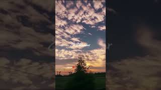 new song hindi 2021