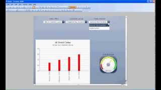 Comerit Building Xcelsius - my First Dashboard