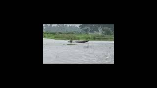 প্রাকৃতিক সৌন্দর্য এবং বৃষ্টির নতুন পানিতে জেলের মাছ ধরা।#funny #bangladesh #MjarTvEtc
