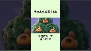 お金のなる木のまめ知識 #Shorts #あつ森 #どうぶつの森 #あつまれどうぶつの森