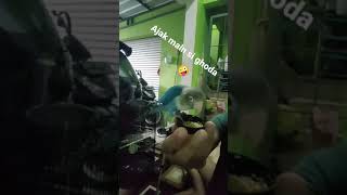 Ajak main si ghoda, biar cepet bonding ! ! !