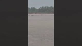 #new #nature #dailyvlog #reels #rain #yt #shorts #love #india #travel #public #rap