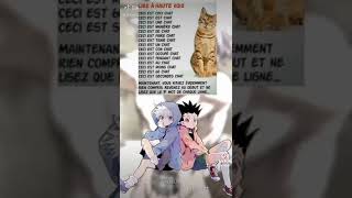 blague du chat