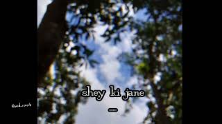 shey ki jane (সে কি জানে) slowed & reverb #tanvirevan