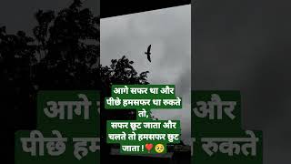 #humsafarindia#viralshortyoutube#barrishpoetrystatus#lovemusicforever#sukoongoalsstatus