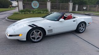 C4 Corvette we had rats!