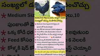Business Ideas in Telugu ||