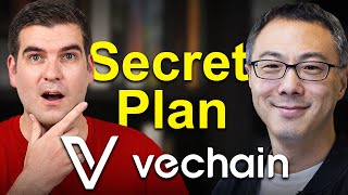 Sunny Lu’s Secret Plan For Vechain