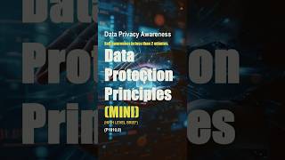 Data Protection Principles - Remake (P1010.1)