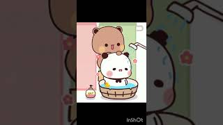 ❤️  #love #story #teddy Teddy #puppylove