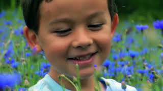 Mindfulness and Creativity | Unlocking Your Inner Artist | Minute of Mindfulness
