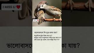 #resmitara #bangladesh #song #shaderdewra #newsong #trendingreels #love #newviralsong