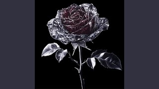 Treat Her Like Her TBR