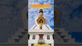 Places to visit in Dehradun 🥰 #buddhatemple #dehradunlove #nature