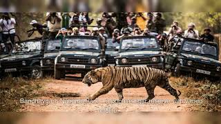 Explore Madhya Pradesh