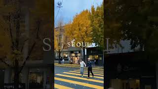 🌏Dreaming of exploring Seoul? #touristvisa #visaready #travelwithease #visaexpert #travelconsultancy