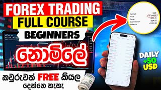 සල්ලි දිලා ඉගෙන ගන්න Full Course එකම නොමිලේ - Basics of Forex Trading for Beginners - Full Course