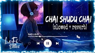 Chai Sudu Chai Ami Tomake Chai Lyrics | চাই শুধু চাই |  SO LOFI  | Slowed~Reverb | Bangla Lofi