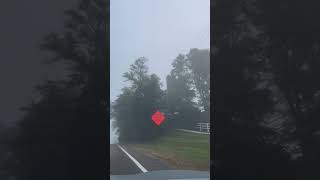Through the Fog #FoggyDrive #MistyRoads #AdventureAwaits #ChasingTheFog #RoadTripVibes