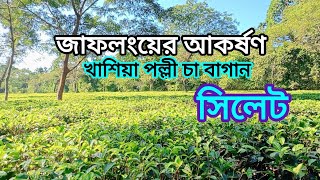 জাফলংয়ের আকর্ষণ | জাফলং পানসুপারি বাগান ও সমতল চা বাগান | Jaflong Cha Bagan Sylhet