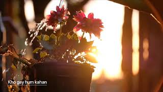 Kho gay hum kahan | Whatsapp Status HD