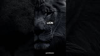 Deepest lion quotes #quotes #lionquotes #lionmotivation #powerfulquotes #motivationalquotes